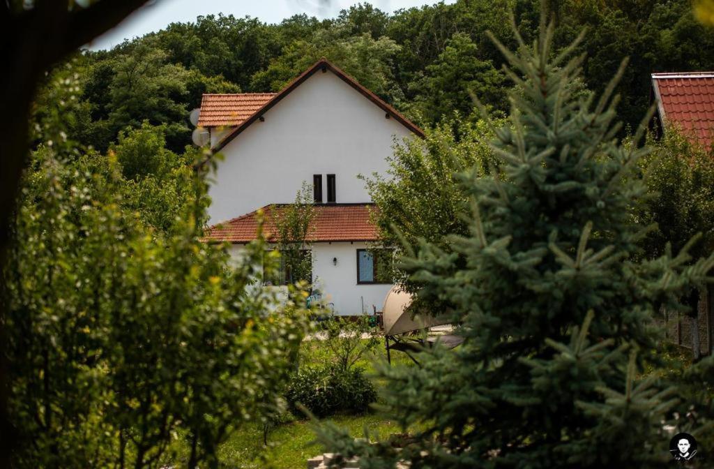 Vilafrancisca10 Alba Iulia Eksteriør bilde